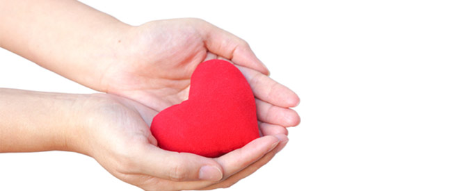 cupped hands offering heart shaped red stuffed toy