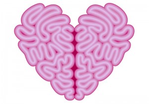 Pink, heart shaped brain vector image.