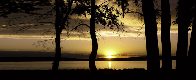 sunset with dark forest in the foreground