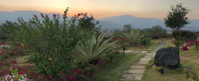 Garden Pathway at Chinmaya Vibhooti Ashram, India