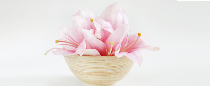 Peaceful pink flowers in a bowl