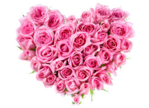 Pink rose blossoms in love shape