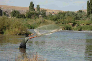 fisherman casting a net while standing inwatern 