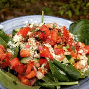 tomato spinach salad at the Ecology Retreat Centre