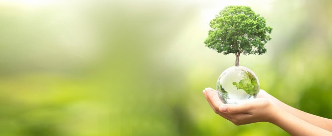 Hands holding a globe with tree on top representing how to be a channel for good in the world.