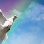 White dove against rainbow showing how to strengthen your resolve.