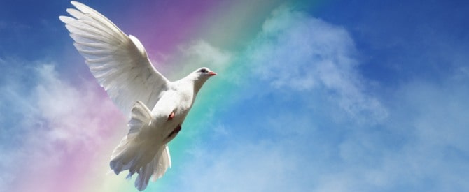 White dove against rainbow showing how to strengthen your resolve.