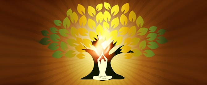 Hatha yoga pose in tree vector image