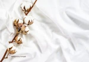 Cotton branch on white cotton sheet