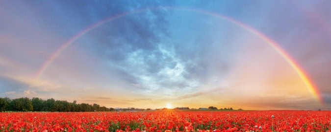Rainbow at sunset over poppy field representing how to live a meaningful life.