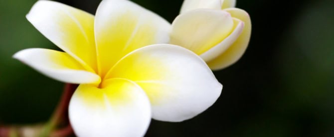 2 Sure Habits to Advance Your Inner Maturity