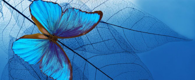 10 Ways to Live a Spiritual Life