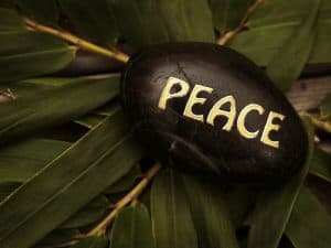 The word peace engraved ona stone sitting amidst leaves